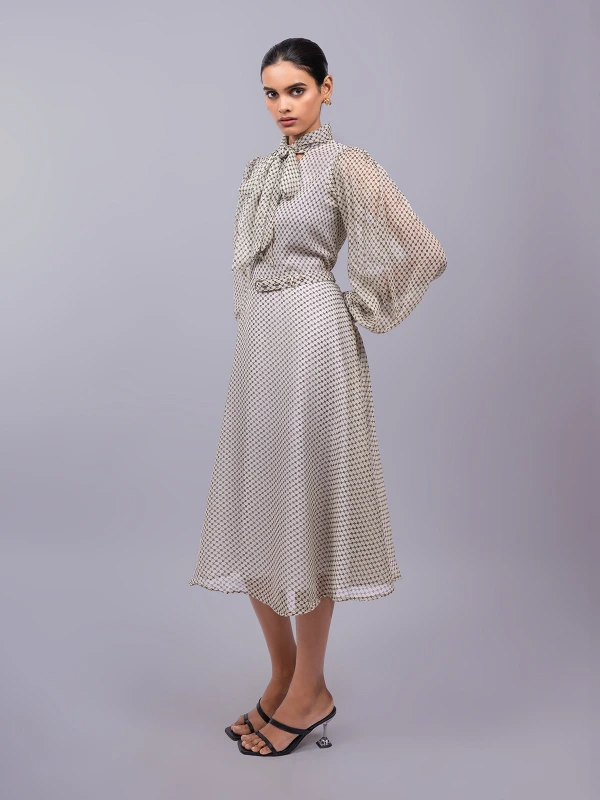 Off-White Collar Tie-Up Fit and Flare Dress 4